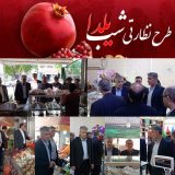 پایش بازار شهر دهلران بمناسبت شب یلدا